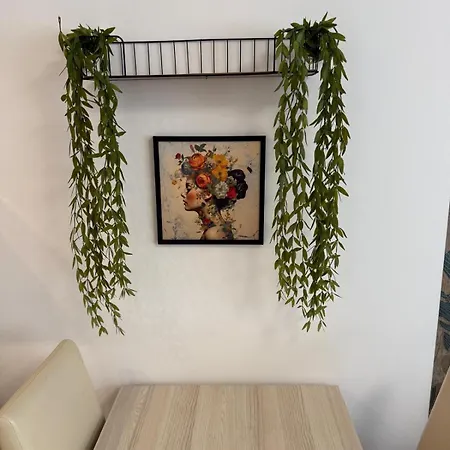 Nature Vibes Premium With Rooftop
