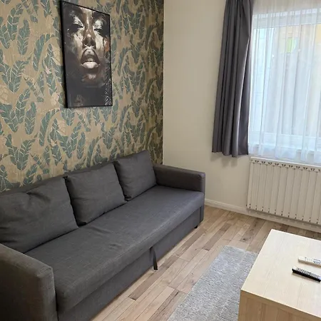 Apartmán Nature Vibes Premium With Rooftop Budapešť